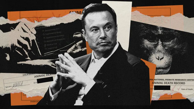 Photo collage showing two hands performing surgery, Elon Musk and a macaque monkey. Documents around it say "animal death record".