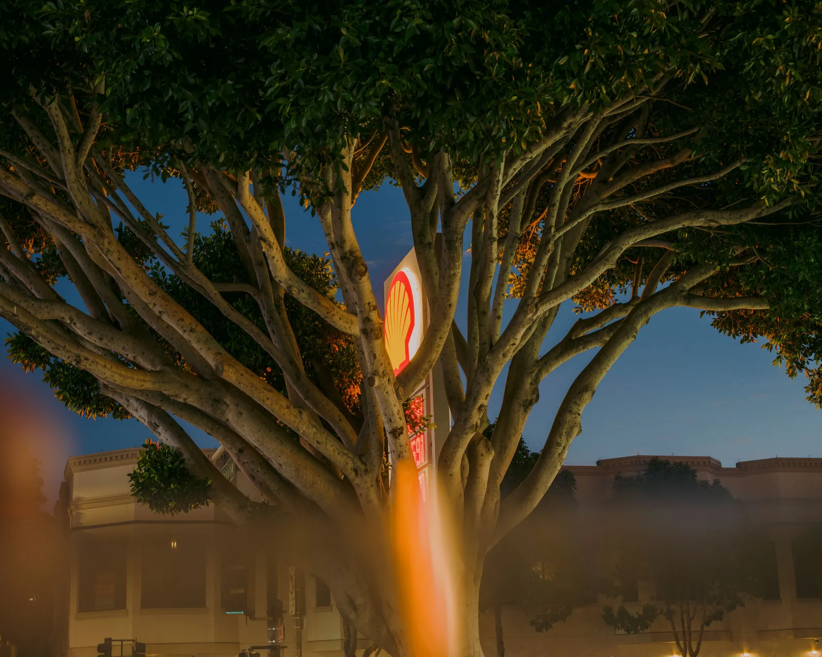 The security cameras at the Laundromat at Laguna Street and Magnolia Street in the Marina District in San Francisco...