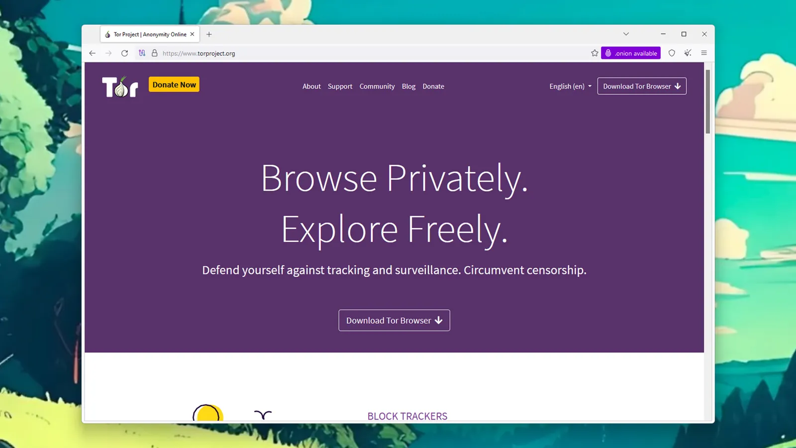 Tor browser
