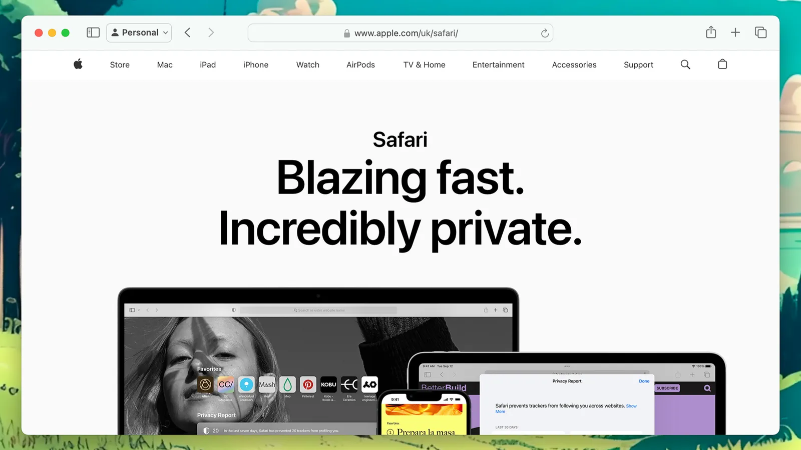 Safari browser